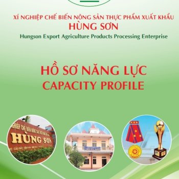 Hồ Sơ Năng Lực Hùng Sơn